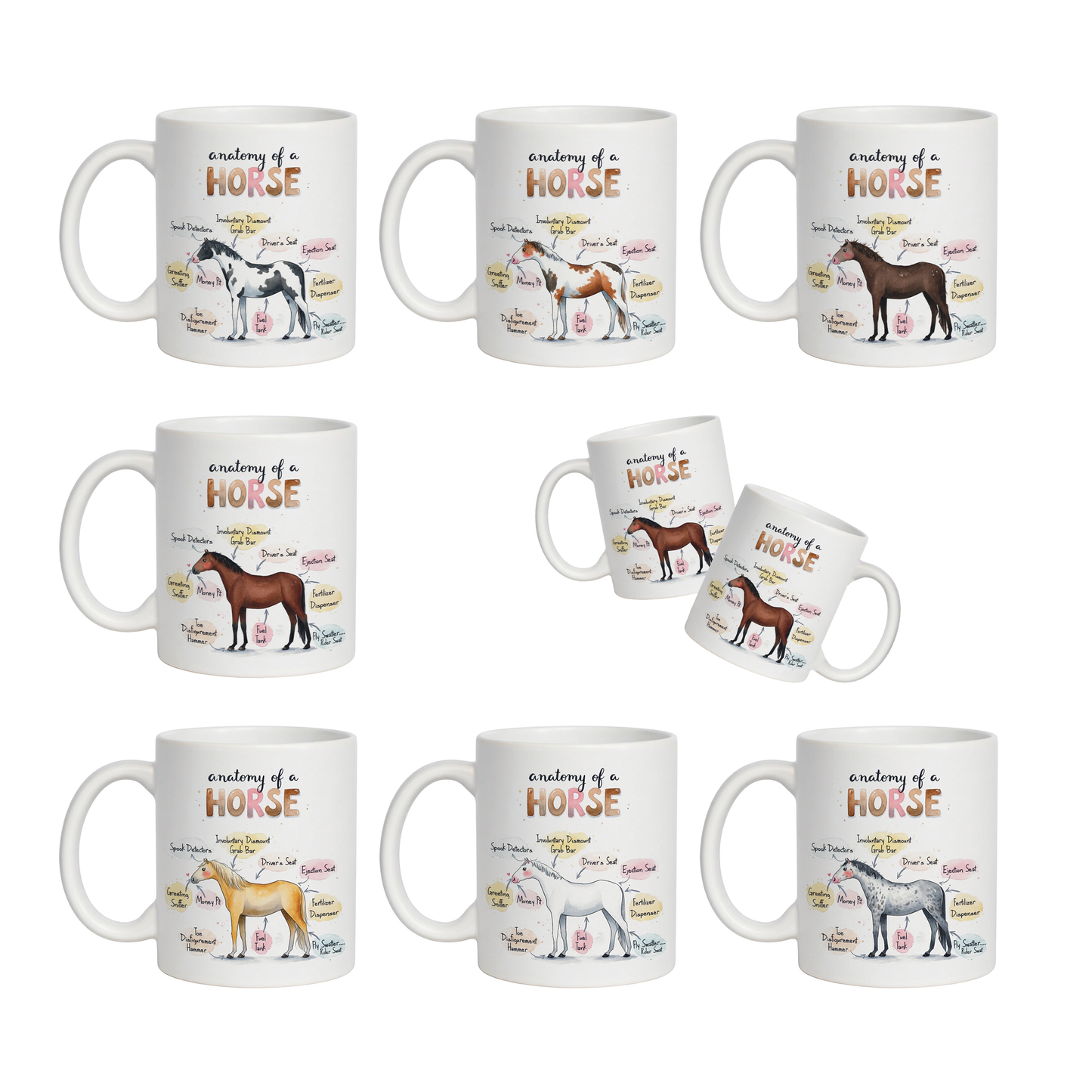'Anatomy of a Horse' Funny equine coffee mug - 11oz white