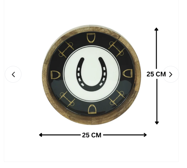 Horse Shoe Bit Stirrup Tray Acrylic Finish Round 13"