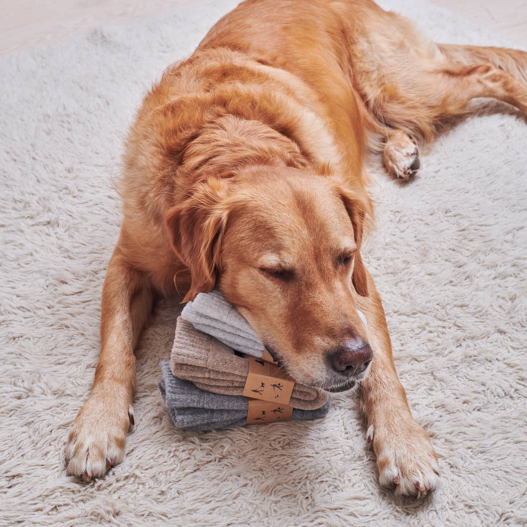 Dog Walking Socks - German Shepherd