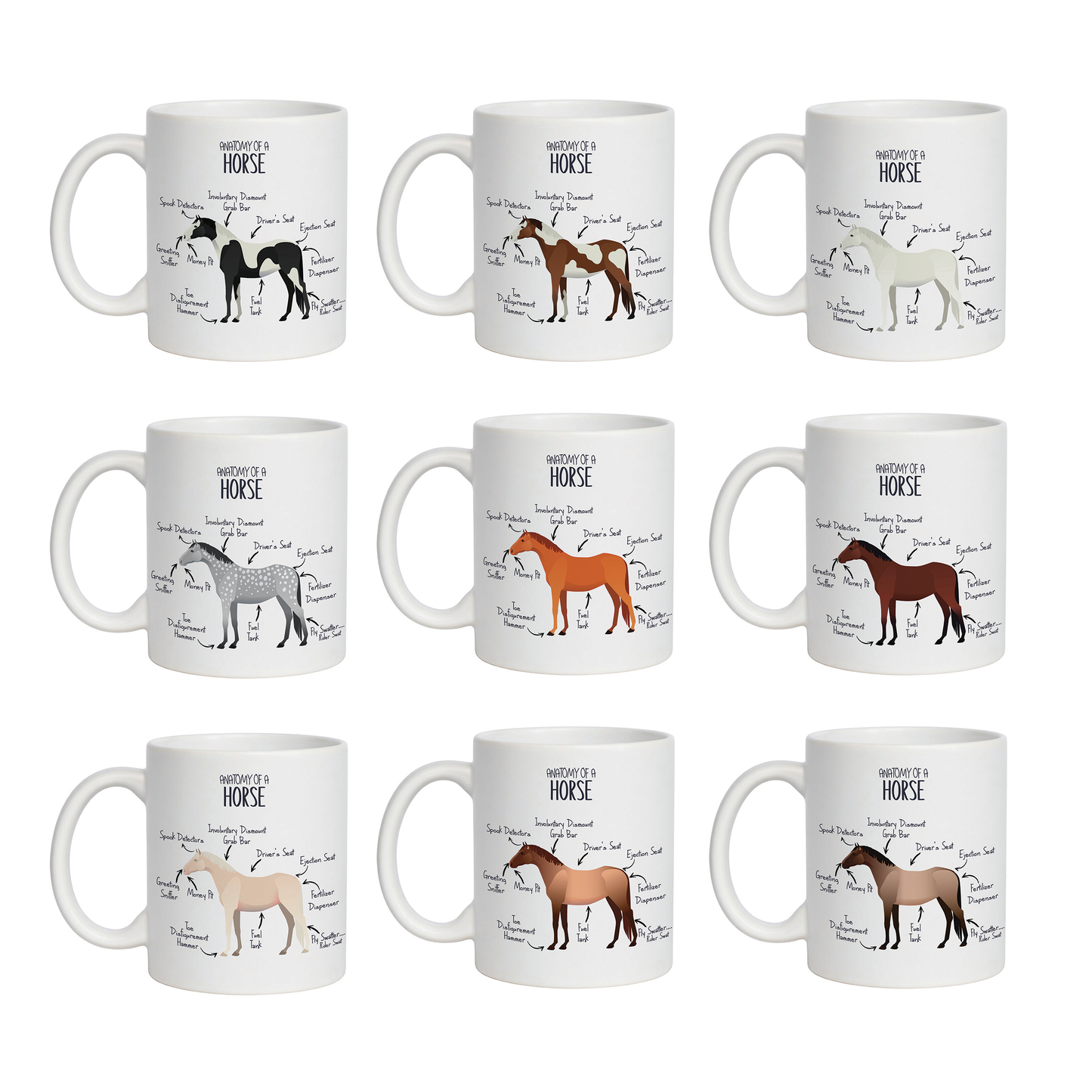 'Anatomy of a Horse' Funny equine coffee mug - 11oz white