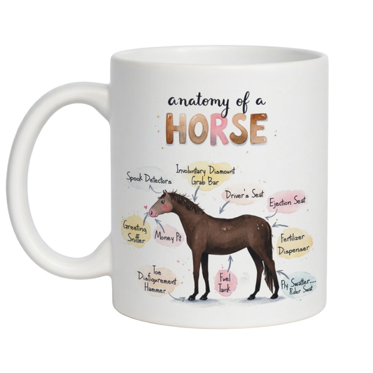 'Anatomy of a Horse' Funny equine coffee mug - 11oz white