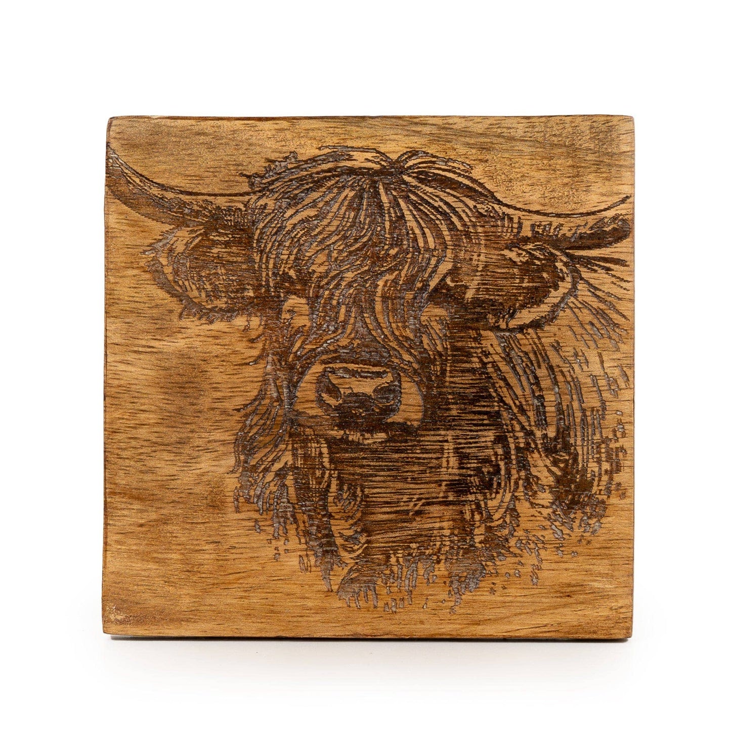 Set of 4 Coasters - Highland Cow 4pk