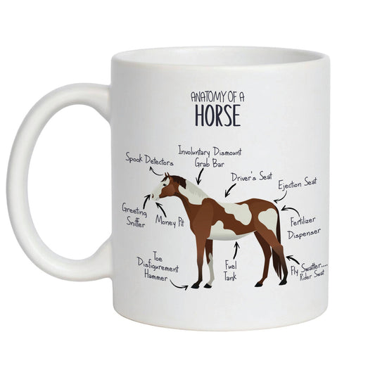 'Anatomy of a Horse' Funny equine coffee mug - 11oz white
