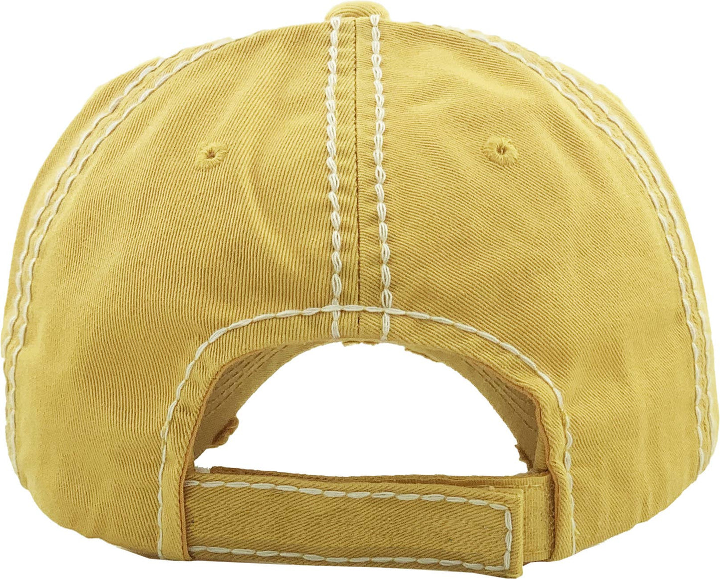 SUNSHINE & WHISKEY Washed Vintage Ballcap