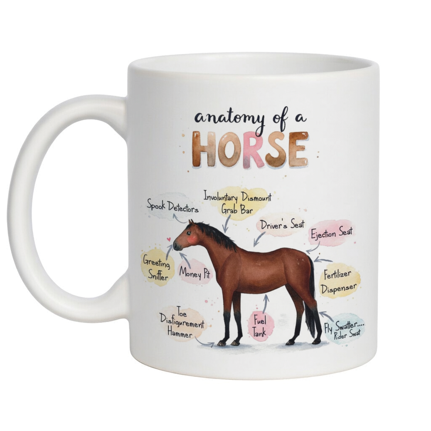 'Anatomy of a Horse' Funny equine coffee mug - 11oz white