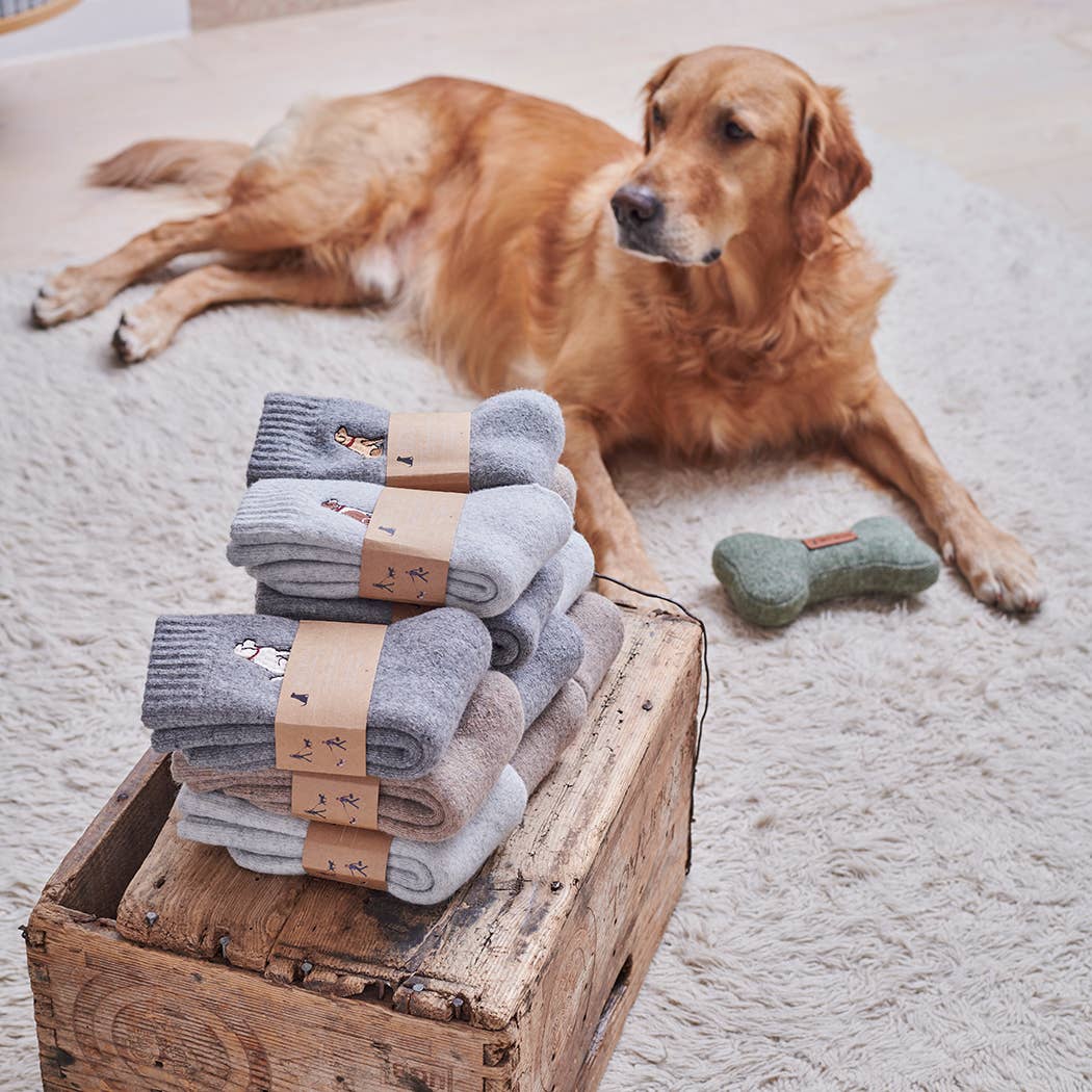 Dog Walking Socks - Basset Hound