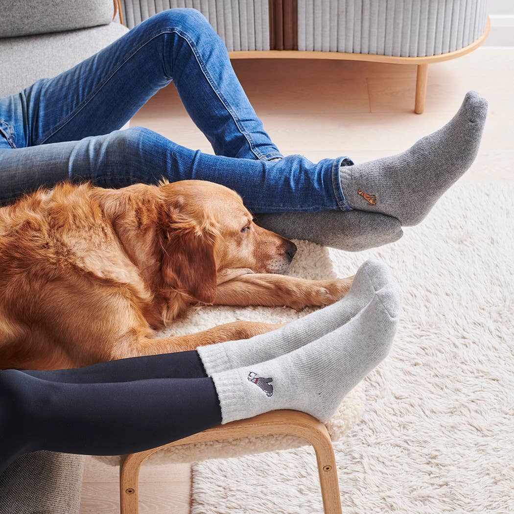 Dog Walking Socks - Springer Spaniel (Liver & White)