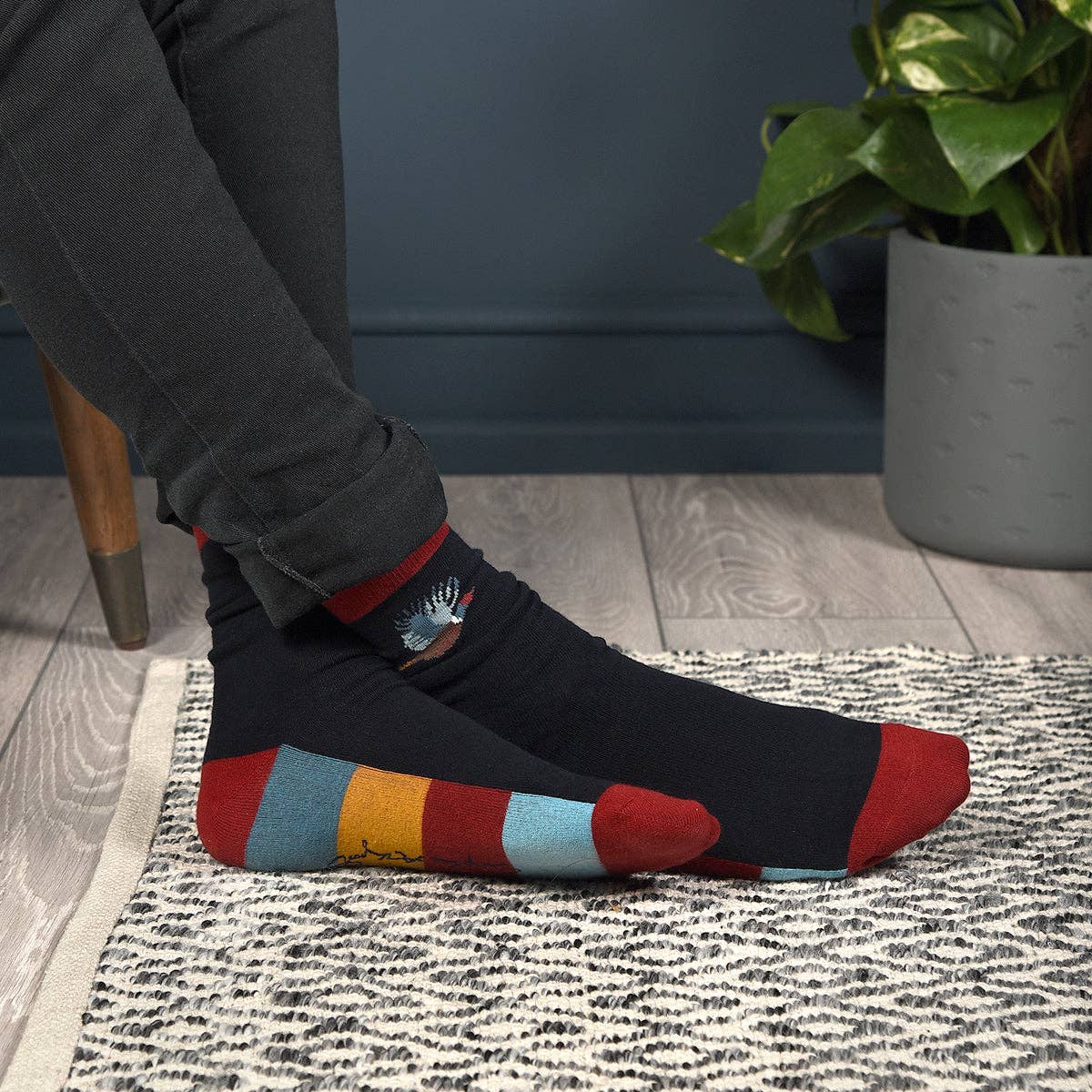 Pheasant Mens Socks