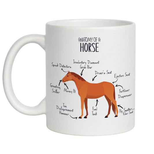 'Anatomy of a Horse' Funny equine coffee mug - 11oz white