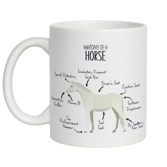 'Anatomy of a Horse' Funny equine coffee mug - 11oz white